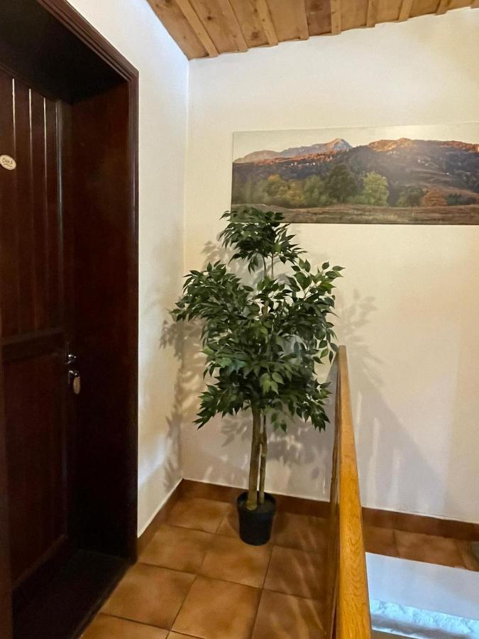 Vila Sofia 普雷代亚尔 外观 照片