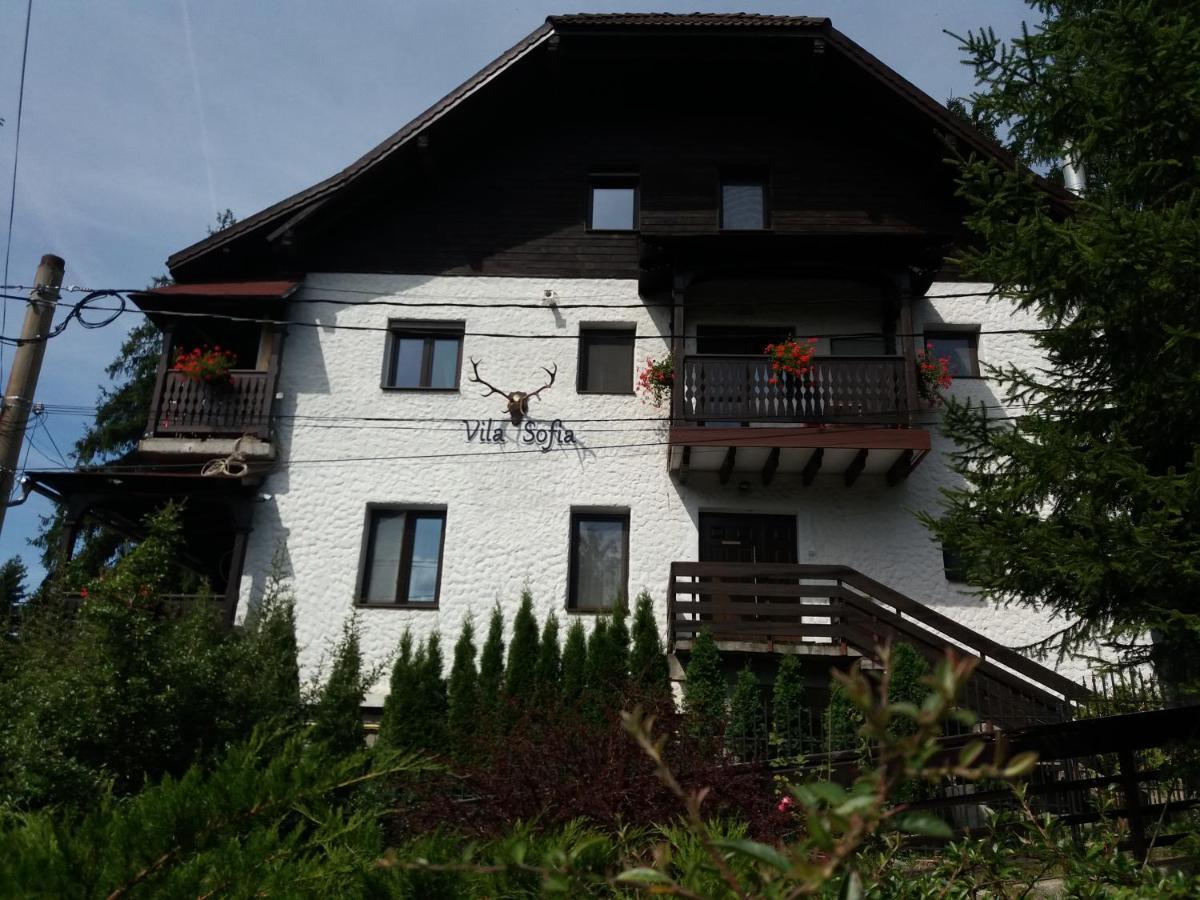 Vila Sofia 普雷代亚尔 外观 照片